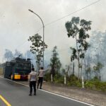 Lahan Terbakar Seluas 4 Hektare Berhasil Dipadamkan